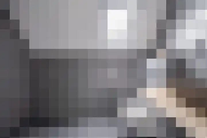 Slootdreef 235 Zoetermeer thumbnail 17