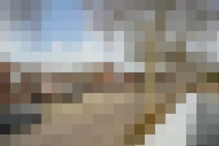 Slootdreef 235 Zoetermeer thumbnail 20