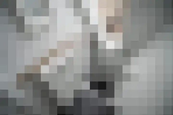 Slootdreef 235 Zoetermeer thumbnail 27