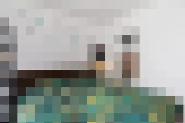 Slootdreef 56 Zoetermeer thumbnail 15