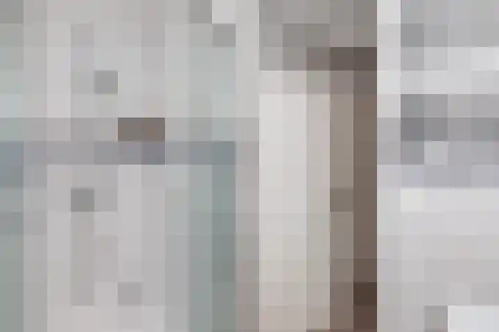 Slootdreef 56 Zoetermeer thumbnail 23