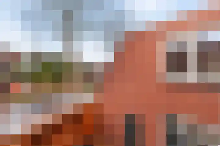 Slootdreef 56 Zoetermeer thumbnail 7