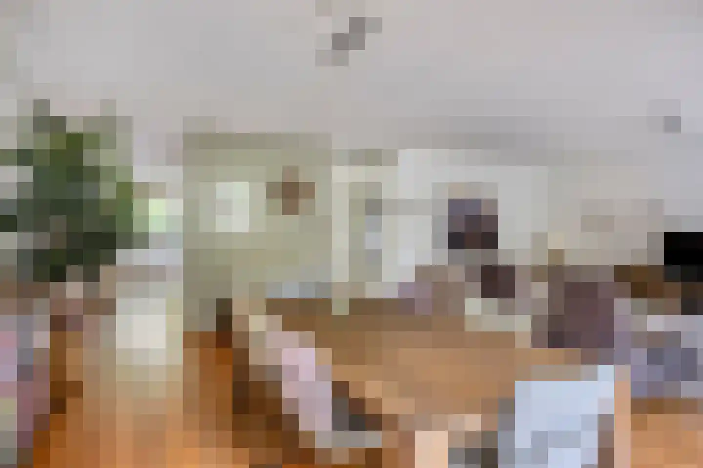 Sloothaak 59 Soest thumbnail 10