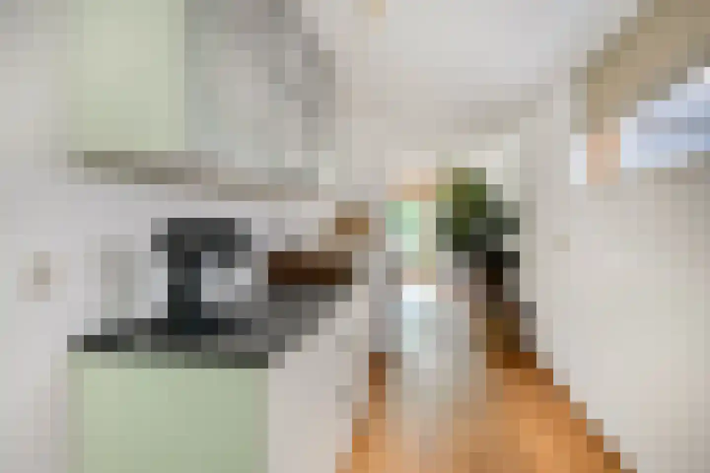 Sloothaak 59 Soest thumbnail 12