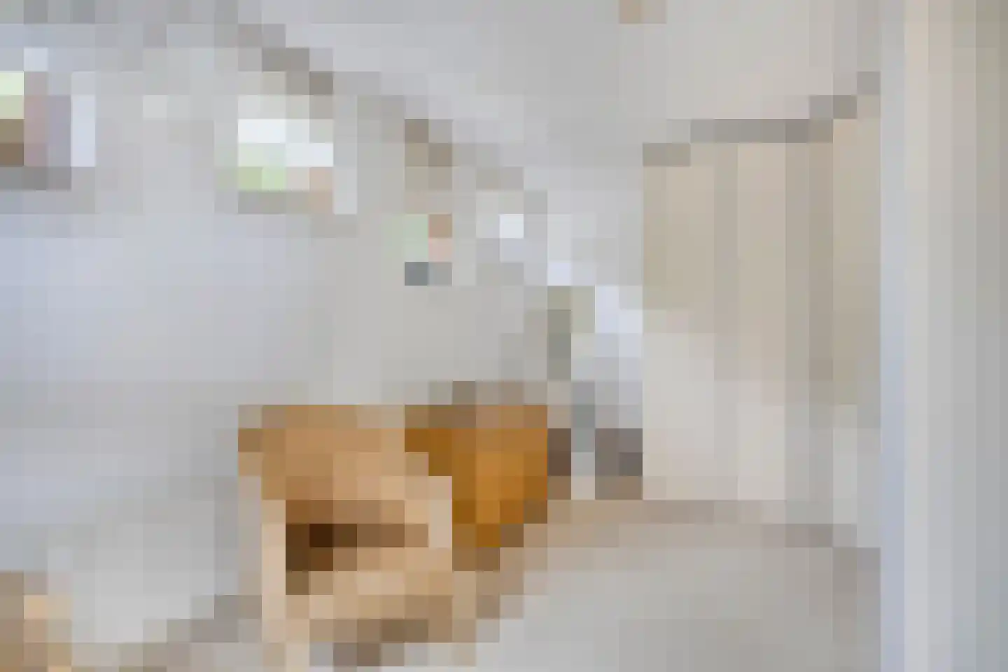Sloothaak 59 Soest thumbnail 22