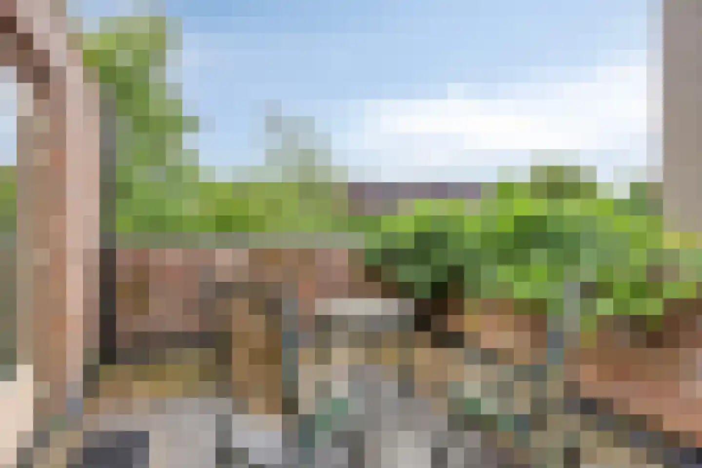 Sloothaak 59 Soest thumbnail 26