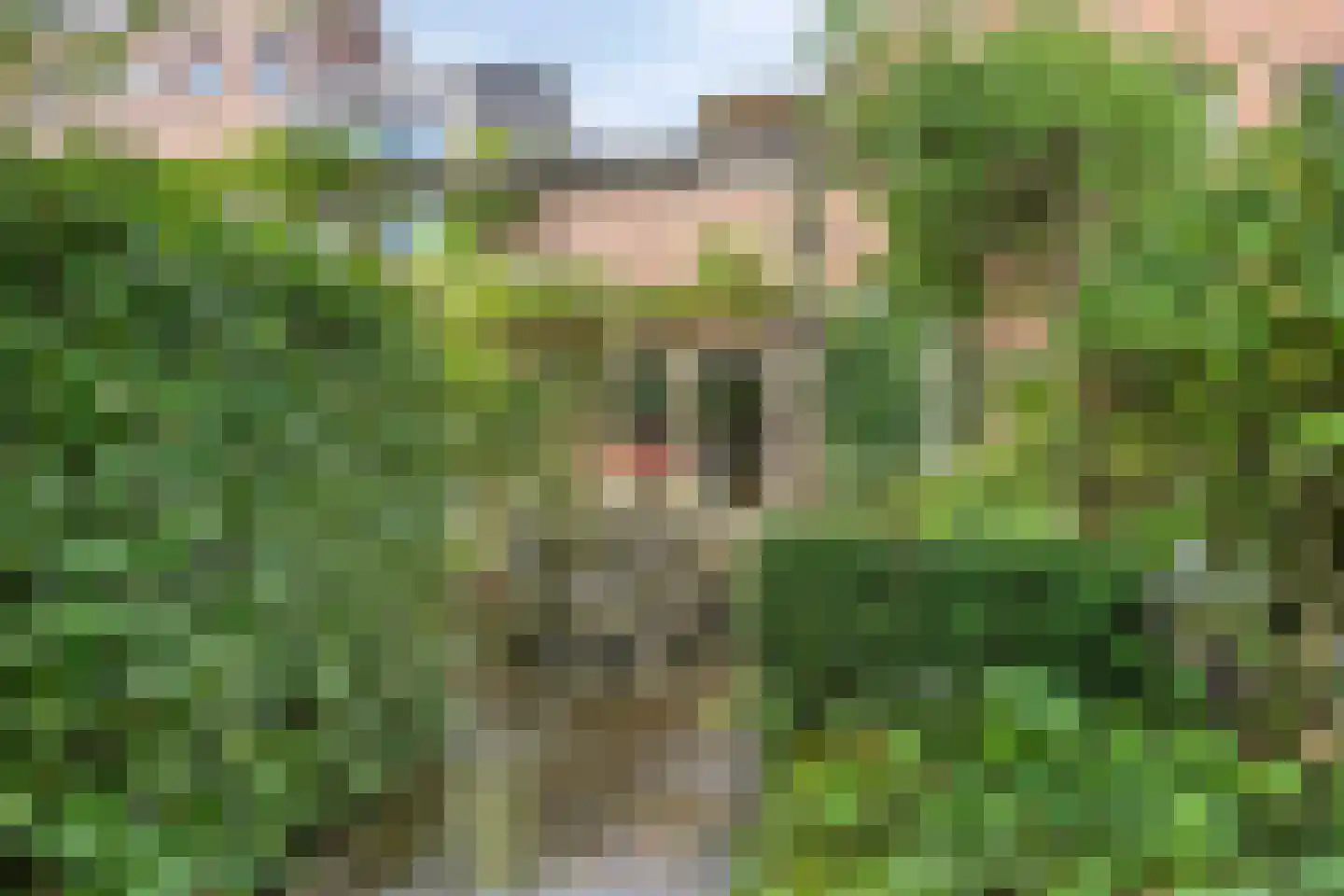 Sloothaak 59 Soest thumbnail 30
