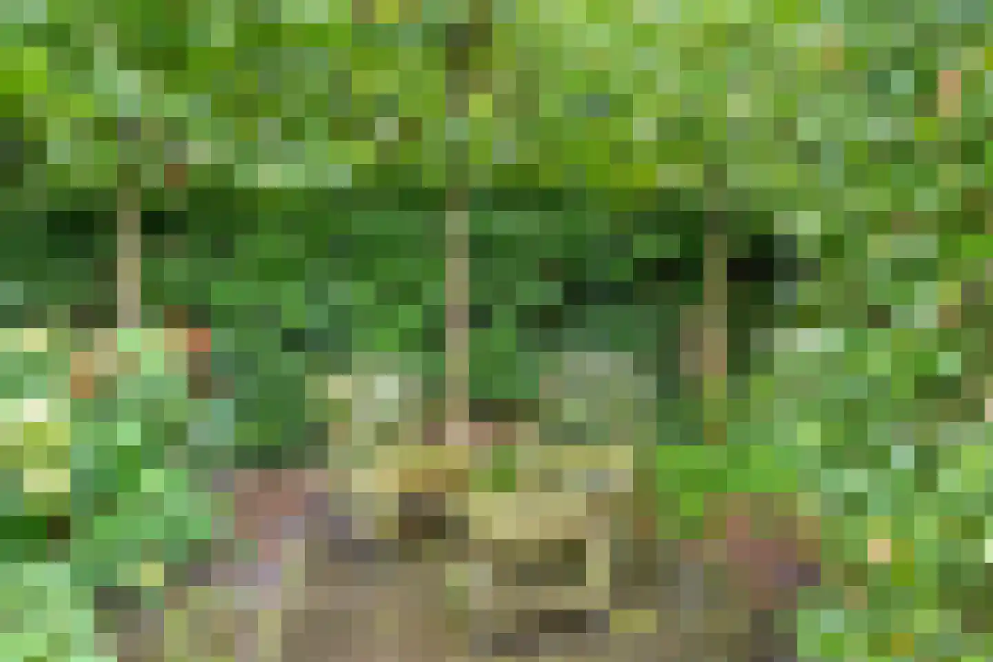 Sloothaak 59 Soest thumbnail 31