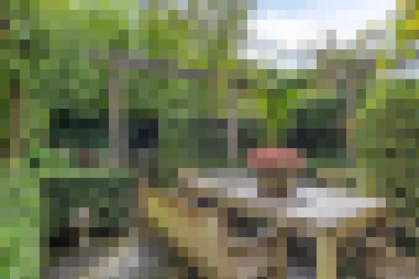 Sloothaak 59 Soest thumbnail 4