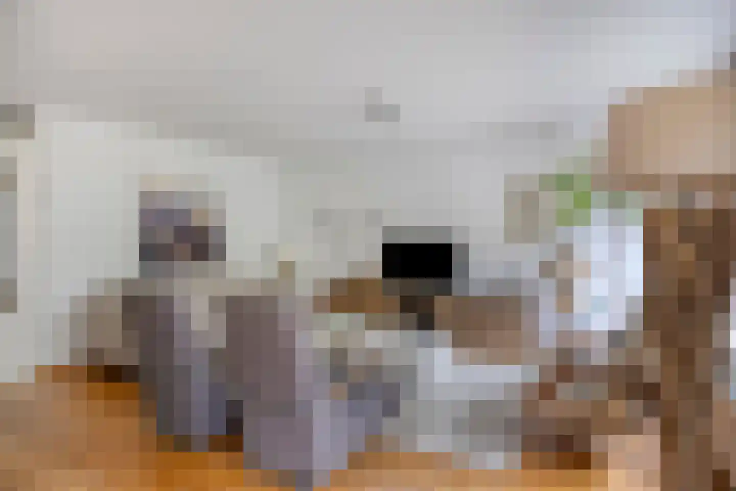 Sloothaak 59 Soest thumbnail 8