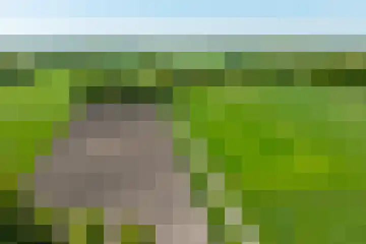 Slootsdijk 14 Ruurlo thumbnail 10