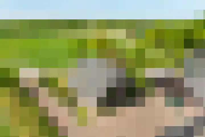 Slootsdijk 14 Ruurlo thumbnail 11