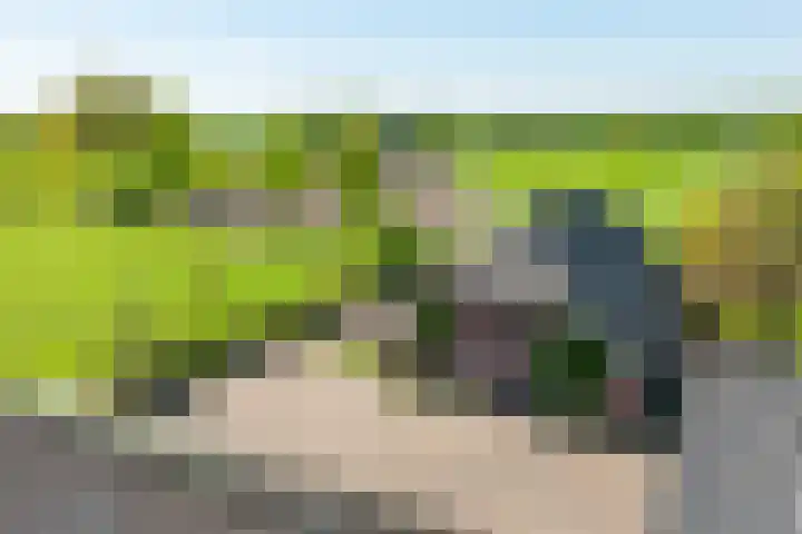 Slootsdijk 14 Ruurlo thumbnail 12