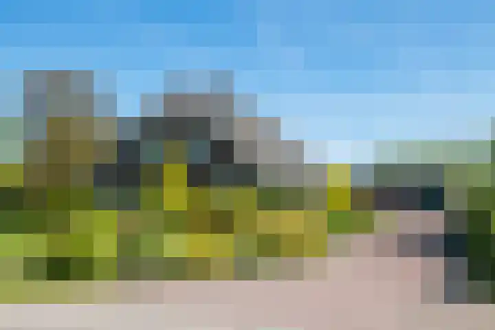 Slootsdijk 14 Ruurlo thumbnail 15