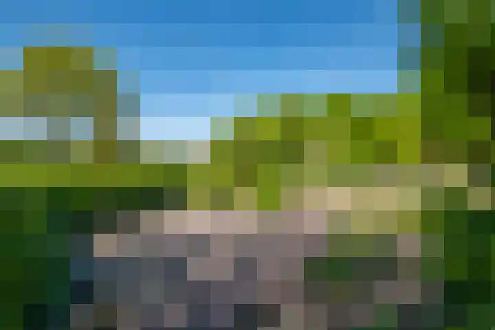 Slootsdijk 14 Ruurlo thumbnail 22