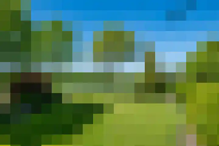 Slootsdijk 14 Ruurlo thumbnail 23