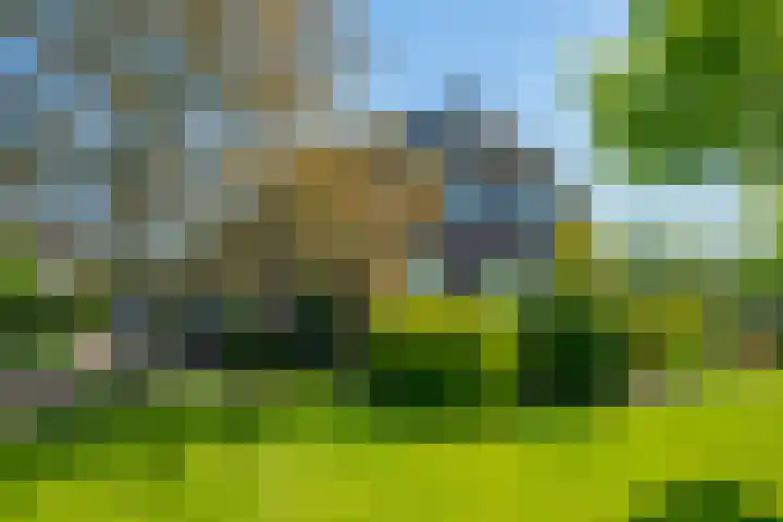 Slootsdijk 14 Ruurlo thumbnail 25