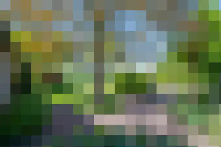 Slootsdijk 14 Ruurlo thumbnail 29