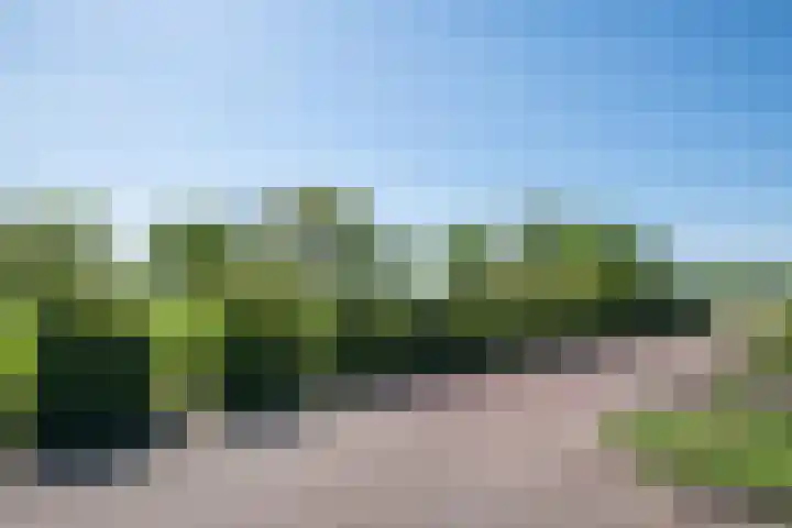 Slootsdijk 14 Ruurlo thumbnail 34