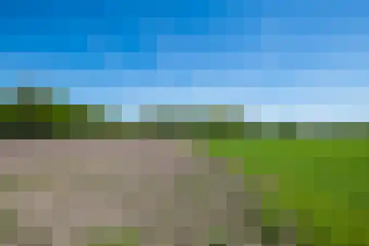 Slootsdijk 14 Ruurlo thumbnail 41