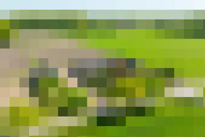 Slootsdijk 14 Ruurlo thumbnail 5