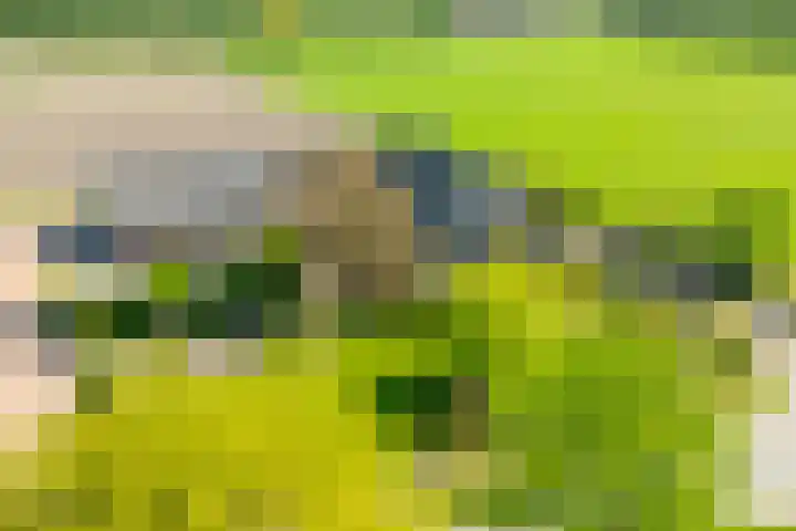Slootsdijk 14 Ruurlo thumbnail 6