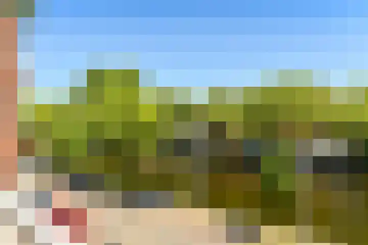 Sloterkade 79 Amsterdam thumbnail 22