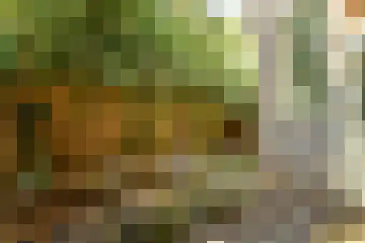 Sloterkade 79 Amsterdam thumbnail 8