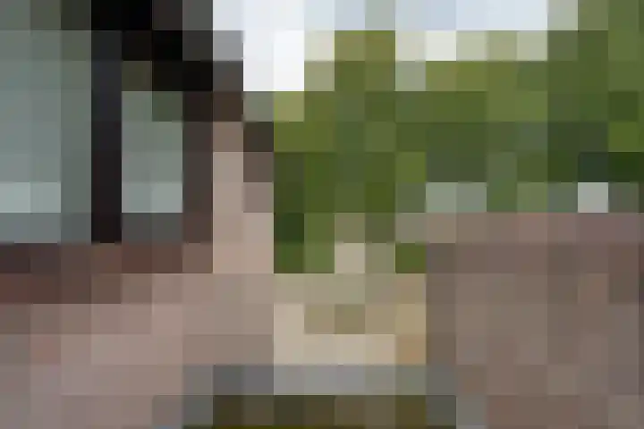 Slotgraskamp 45 Epe thumbnail 15