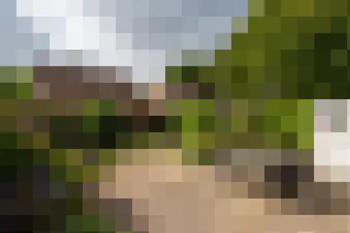 Slotgraskamp 45 Epe thumbnail 23