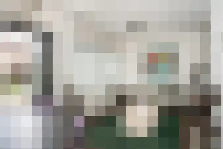 Slotgraskamp 45 Epe thumbnail 7