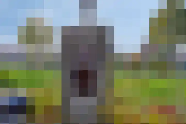 Slottuin 168 Beuningen Gld thumbnail 18