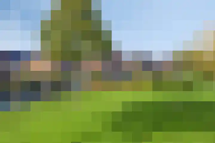 Slottuin 168 Beuningen Gld thumbnail 32