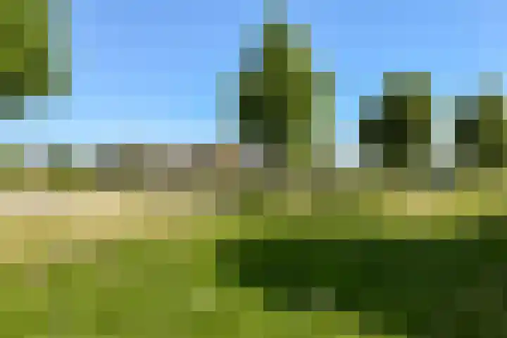 Slowakijeplaats 22 Almere thumbnail 26
