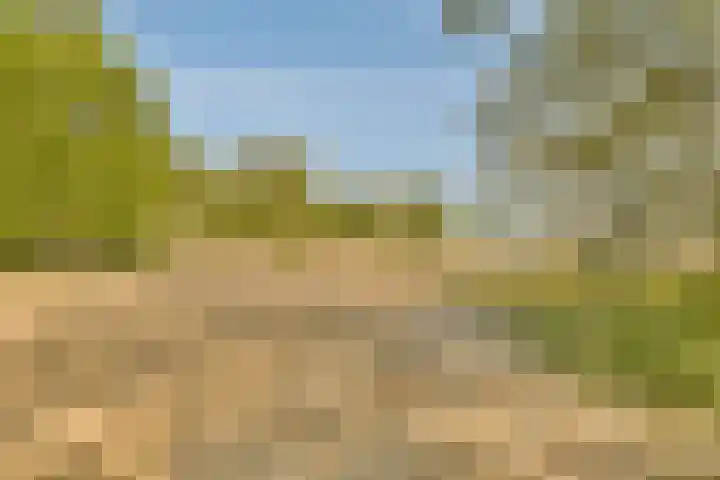 Slowakijeplaats 22 Almere thumbnail 34