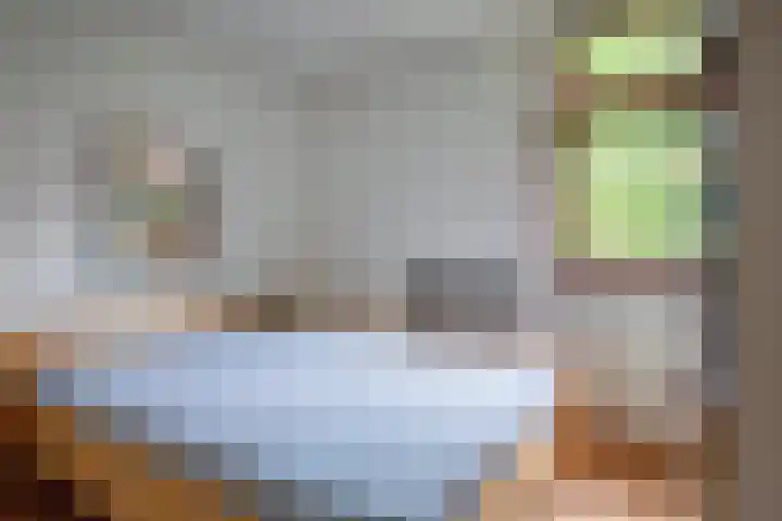 Slufterweg 12 De Cocksdorp thumbnail 13