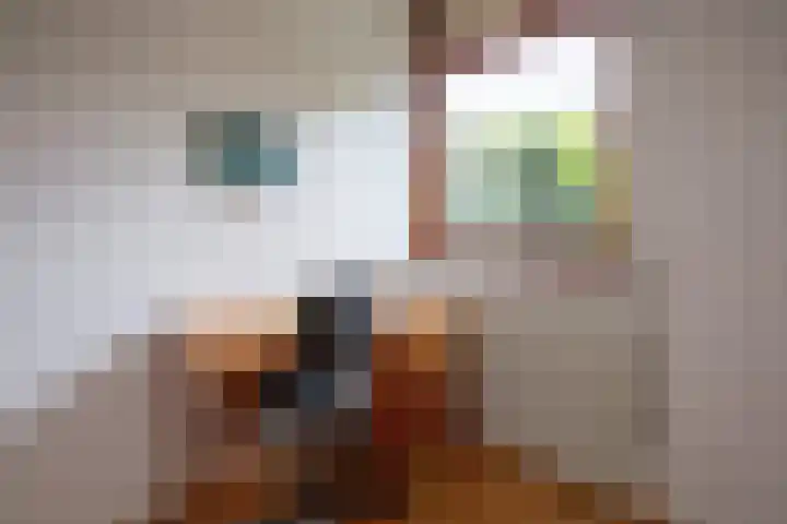 Slufterweg 12 De Cocksdorp thumbnail 15