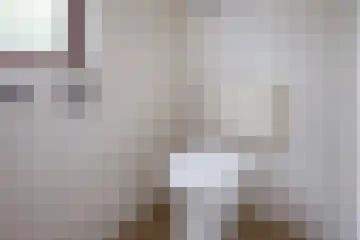 Slufterweg 12 De Cocksdorp thumbnail 18