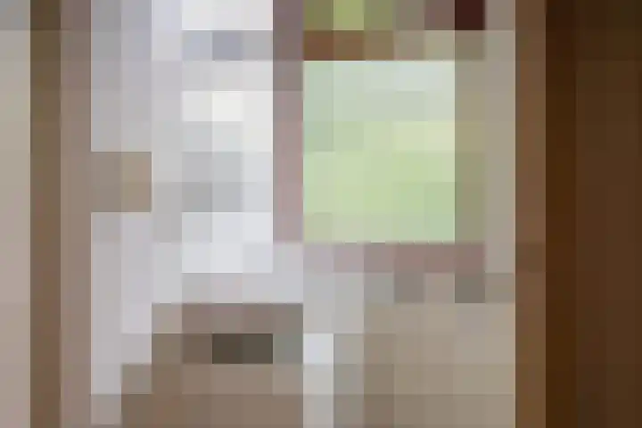 Slufterweg 12 De Cocksdorp thumbnail 19