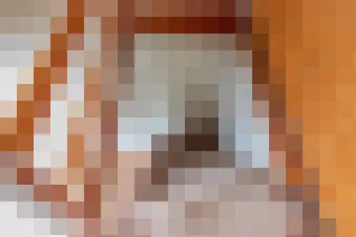 Slufterweg 12 De Cocksdorp thumbnail 22