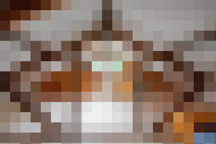 Slufterweg 12 De Cocksdorp thumbnail 23