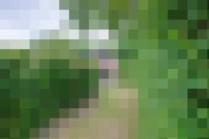 Slufterweg 12 De Cocksdorp thumbnail 27