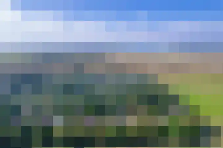Slufterweg 12 De Cocksdorp thumbnail 4