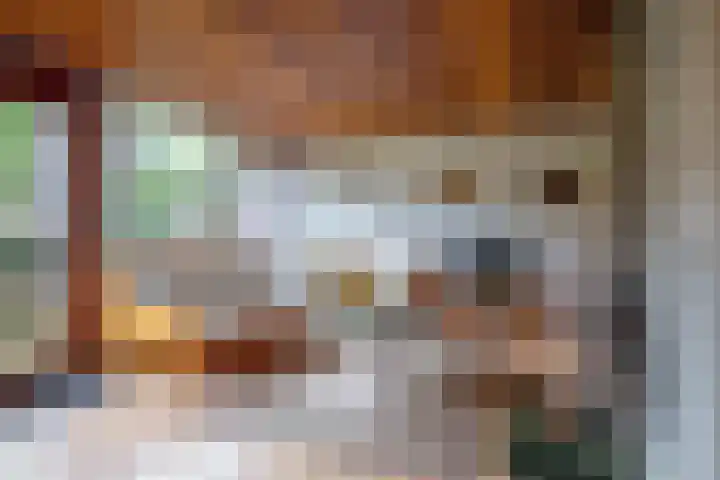 Slufterweg 12 De Cocksdorp thumbnail 5