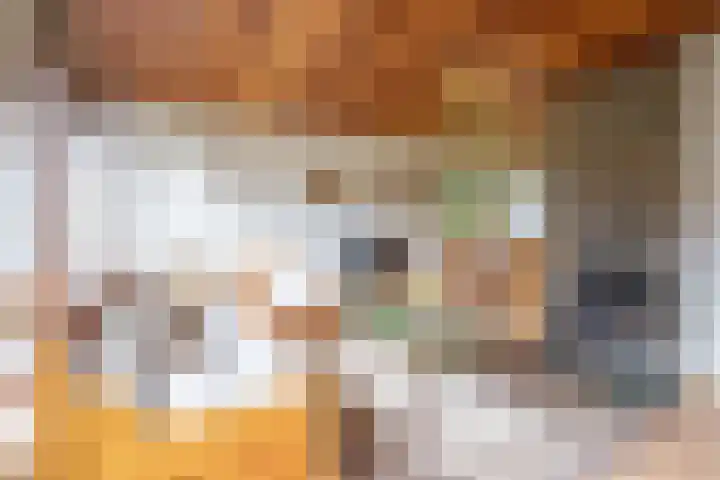 Slufterweg 12 De Cocksdorp thumbnail 6