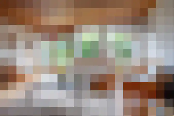 Slufterweg 12 De Cocksdorp thumbnail 7