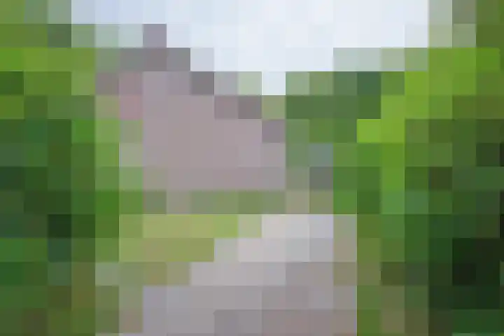 Slufterweg 190 De Cocksdorp thumbnail 27