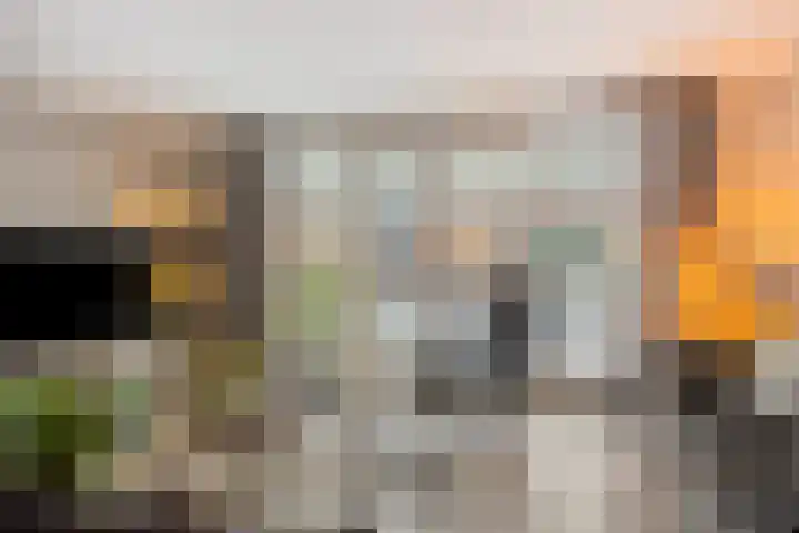 Sluis 15 Borne thumbnail 13