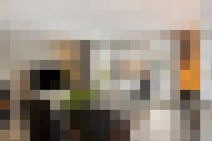 Sluis 15 Borne thumbnail 14