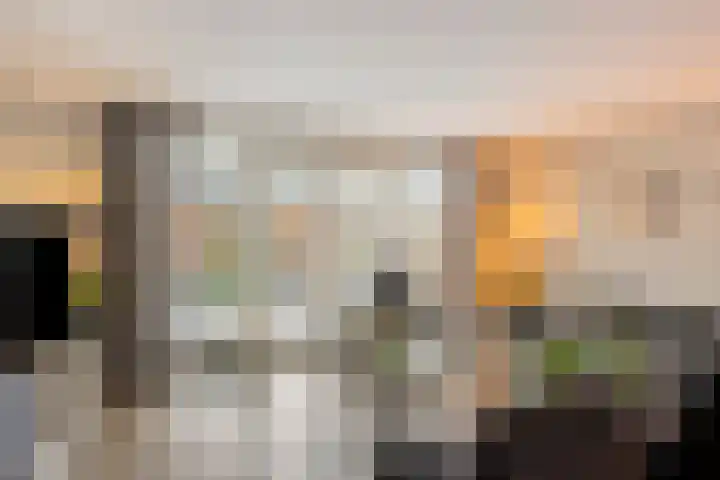 Sluis 15 Borne thumbnail 15